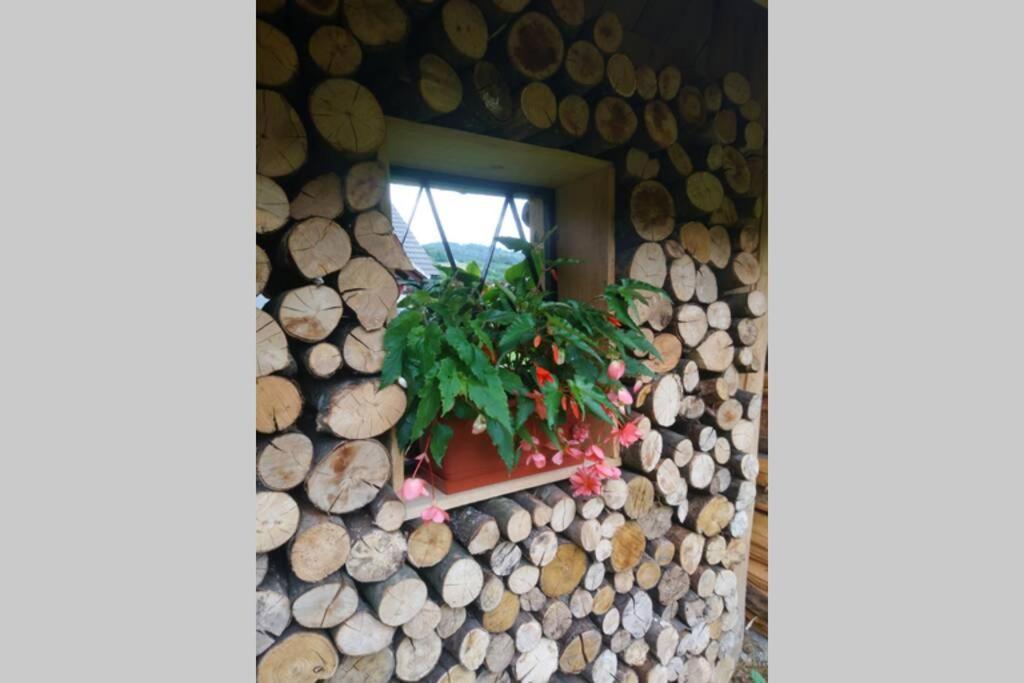 Hut At The Forest Male Brusnice Buitenkant foto
