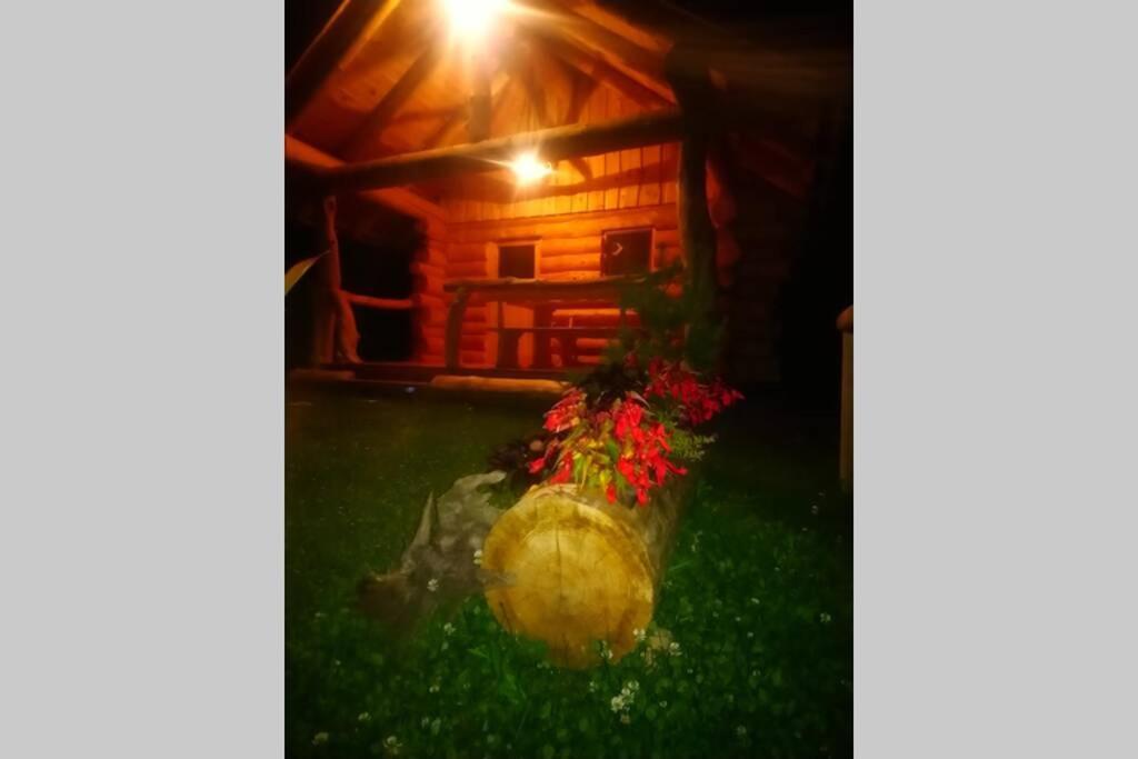 Hut At The Forest Male Brusnice Buitenkant foto